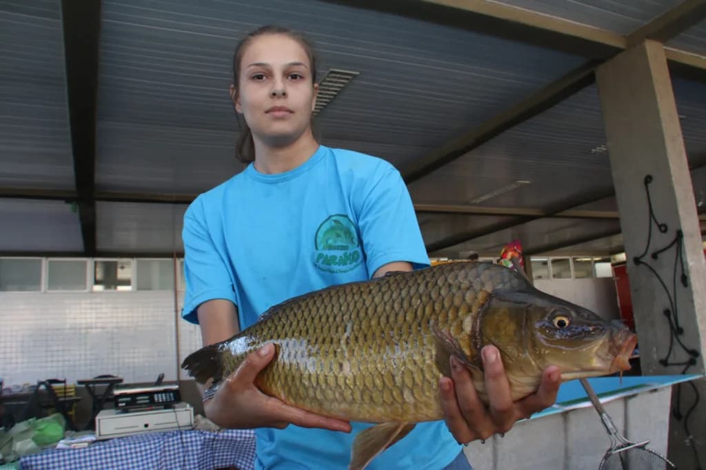 Feira do Peixe é opção para a Semana Santa em Ponta Grossa