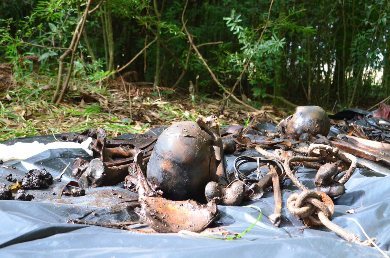 IML de Ponta Grossa identifica ossos encontrados em poço macabro