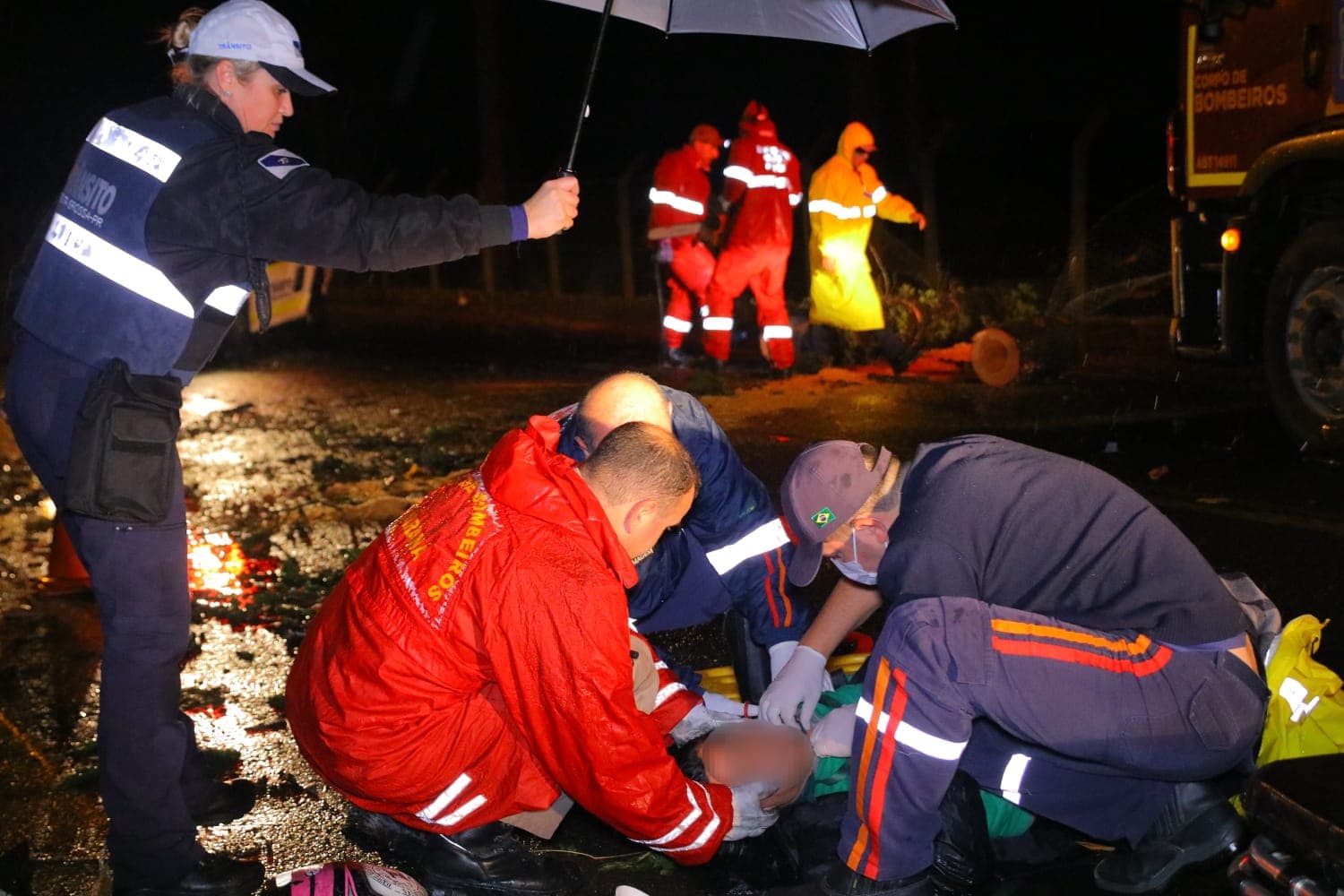 Queda de pinheiro provoca acidente com moto em Ponta Grossa