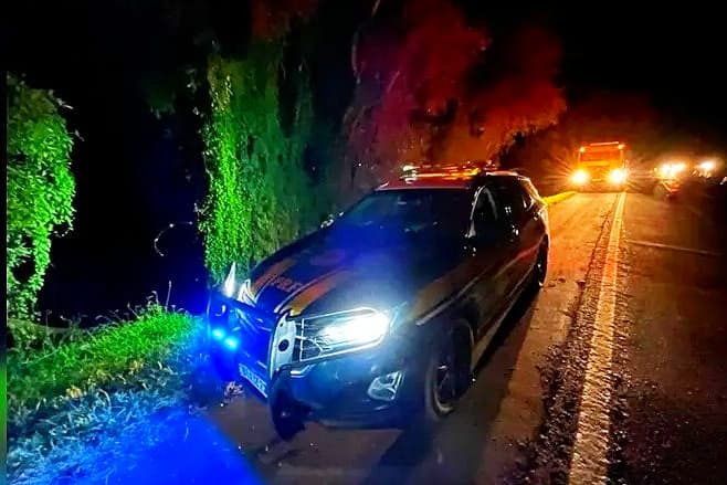 Motorista morre após veículo sair da pista e bater em árvore na BR-277
