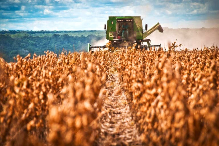 Mais de 28 milhões de pessoas trabalham com agronegócio no Brasil, diz pesquisa