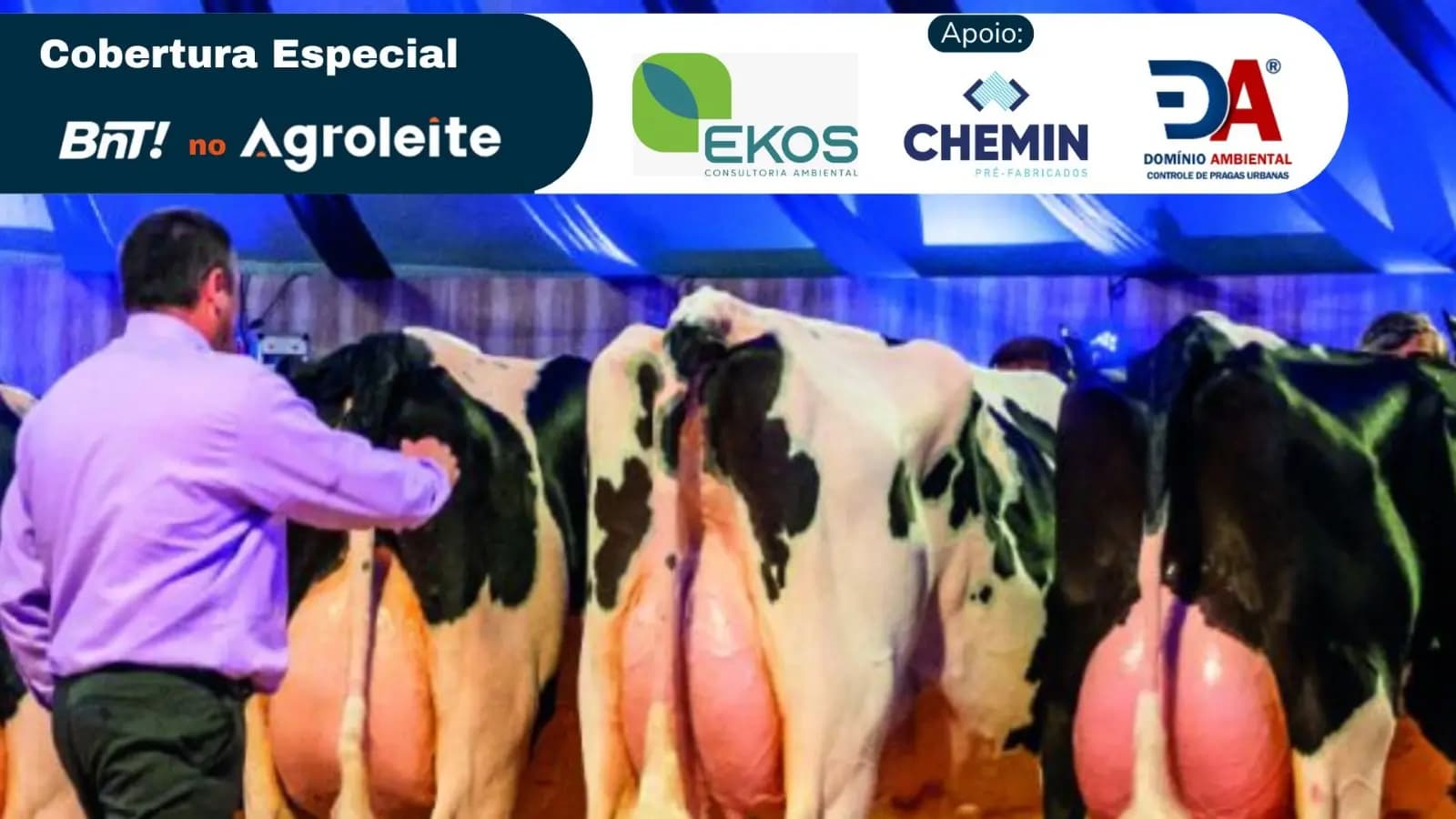 Agroleite 2023 terá 490 animais em exposição