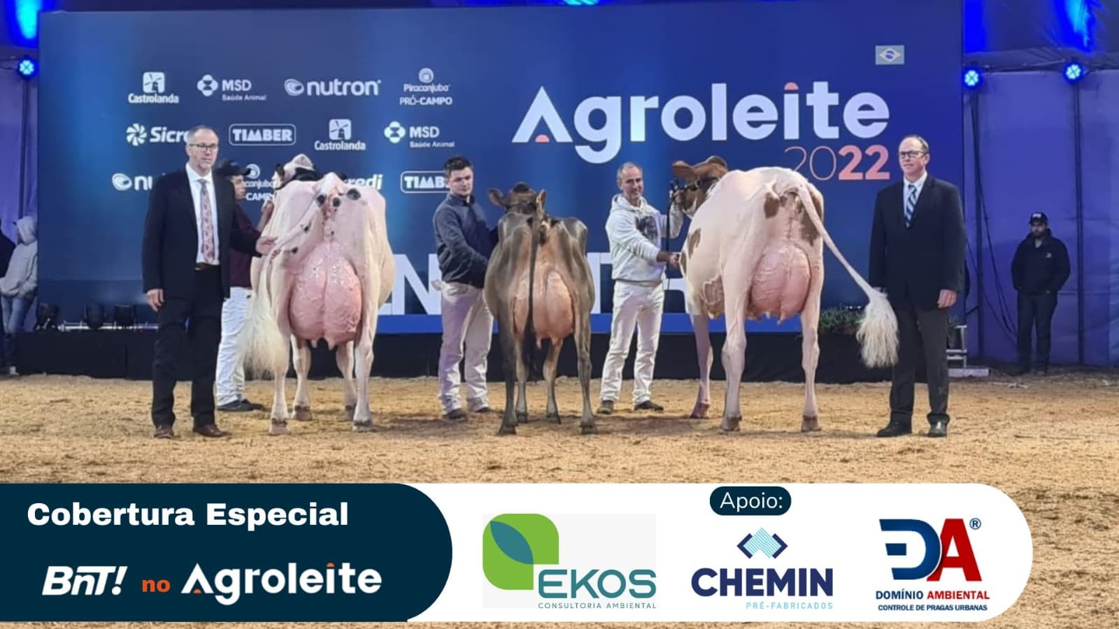 Julgamentos de animais na Arena Agroleite iniciam na quarta-feira