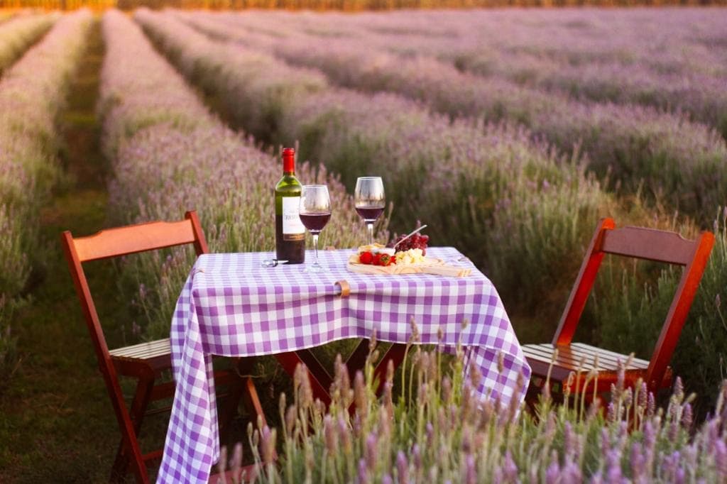 Piquenique no lavandário é opção de experiência gastronômica no Circuito Gastronômico dos Campos Gerais