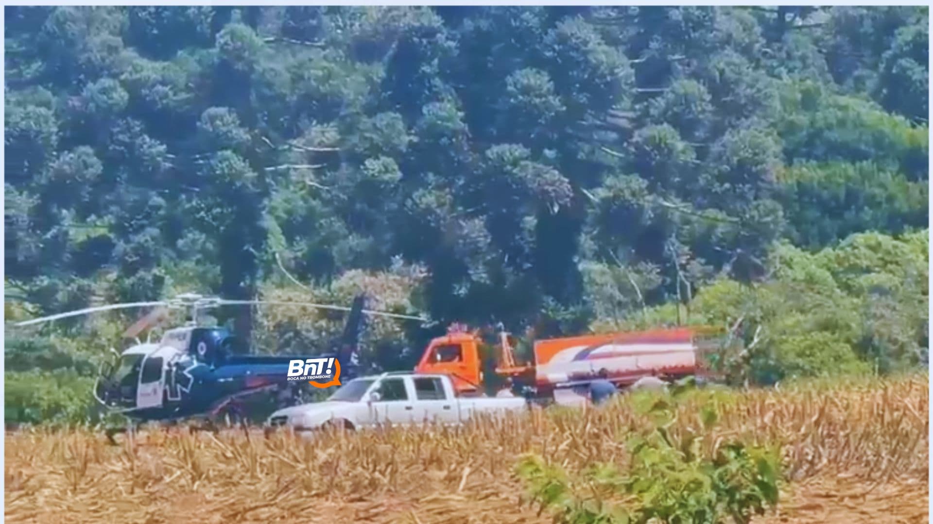 Homem morre picado por abelhas em Carambeí