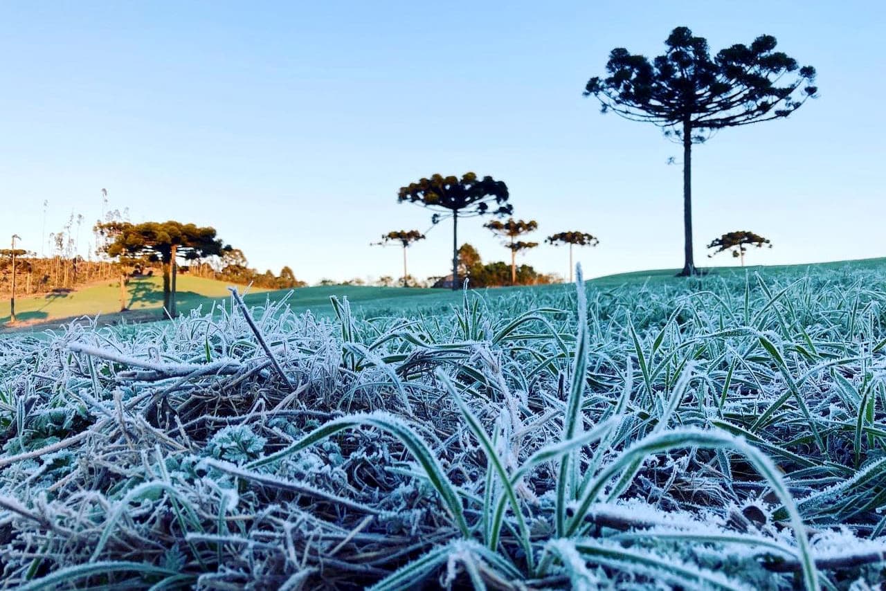 Ponta Grossa registrou a temperatura mínima de 3,4°C nesta quarta-feira