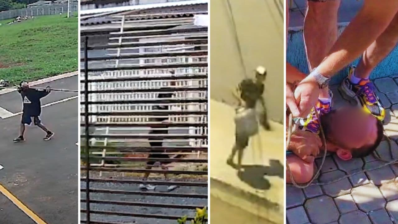 Após ladrão ser preso e solto várias vezes, população clama por justiça em PG