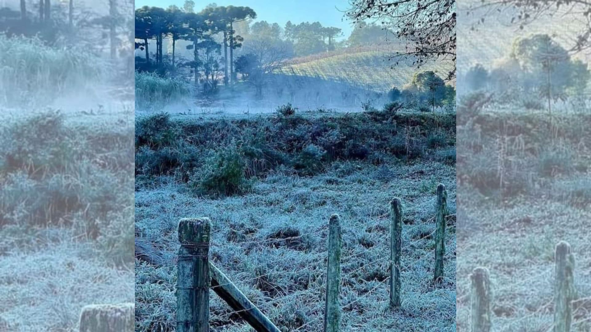 Frio Castro