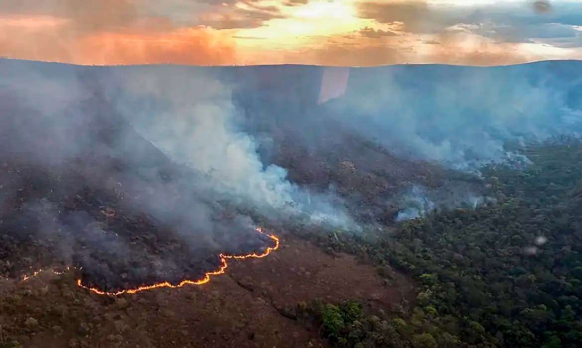 incencio_chapada_veadeiros