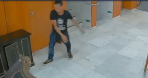 frame tv brasil