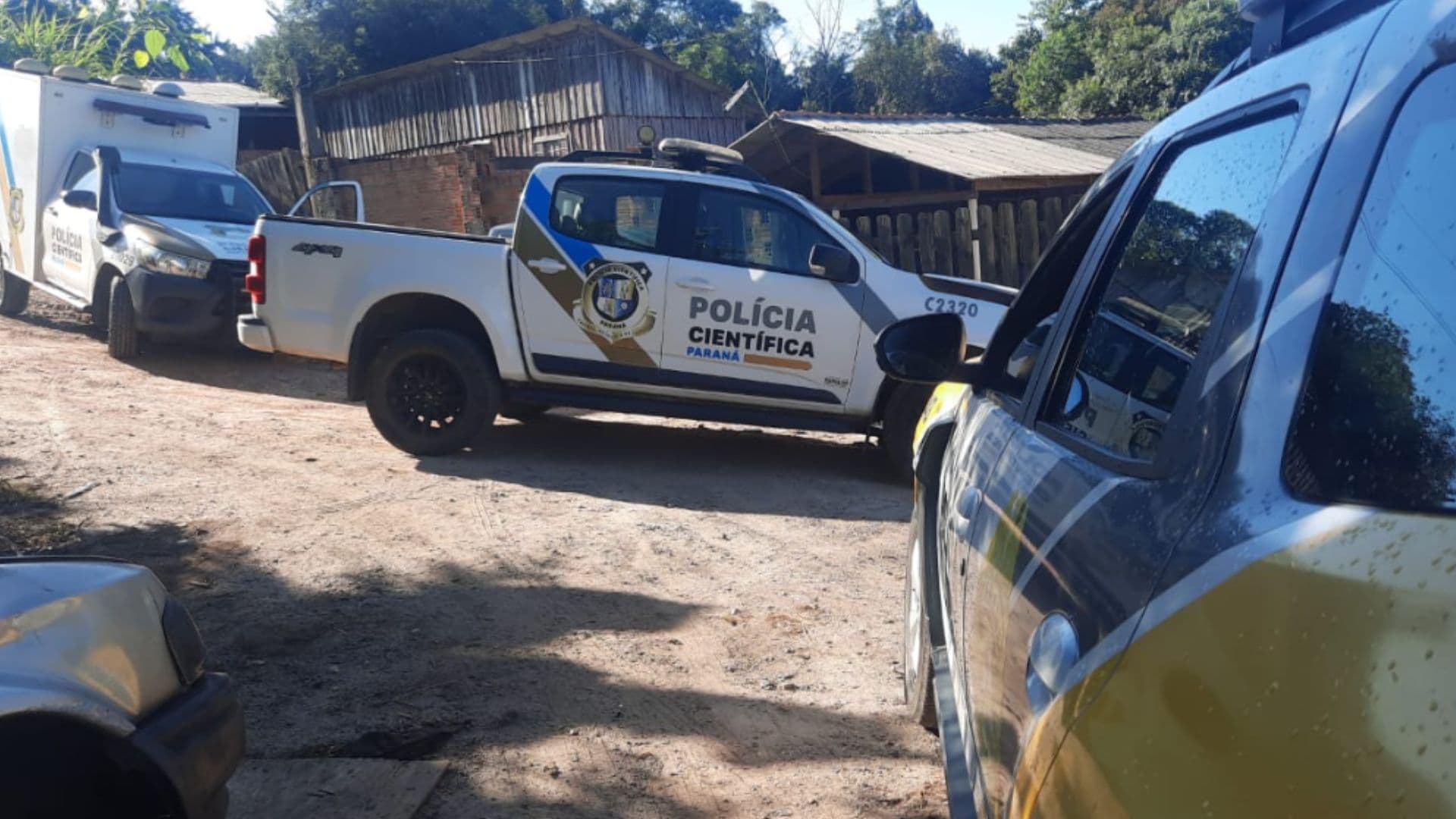 Cópia de REPORTAGEM 2024 bnt 34