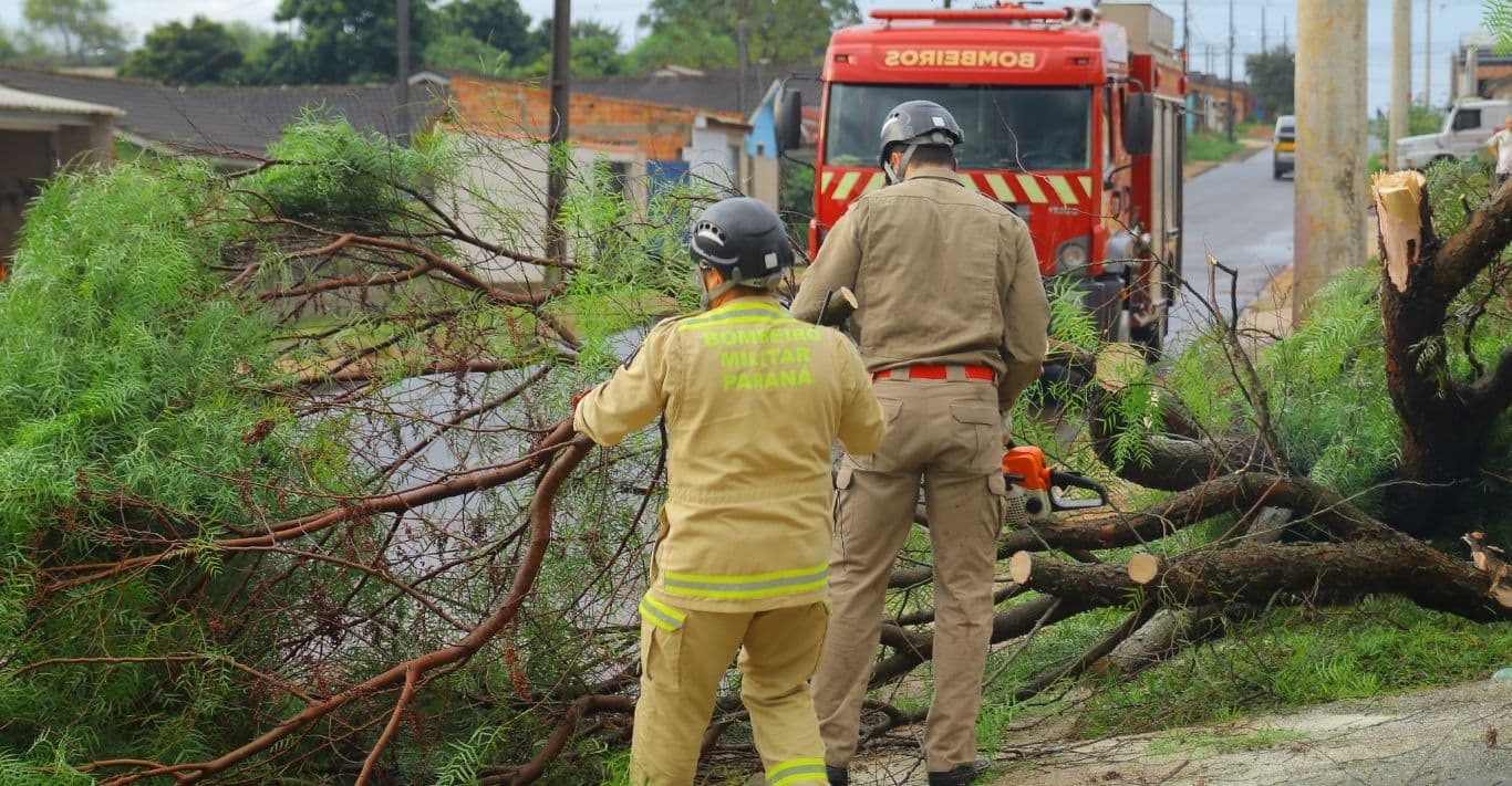 Árvore cai e bloqueia entrada de residência em bairro de Ponta Grossa