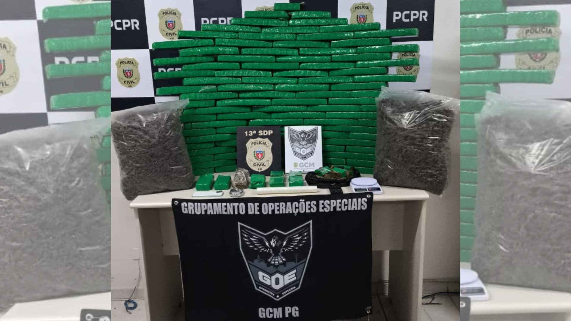 PG 100 quilos de maconha