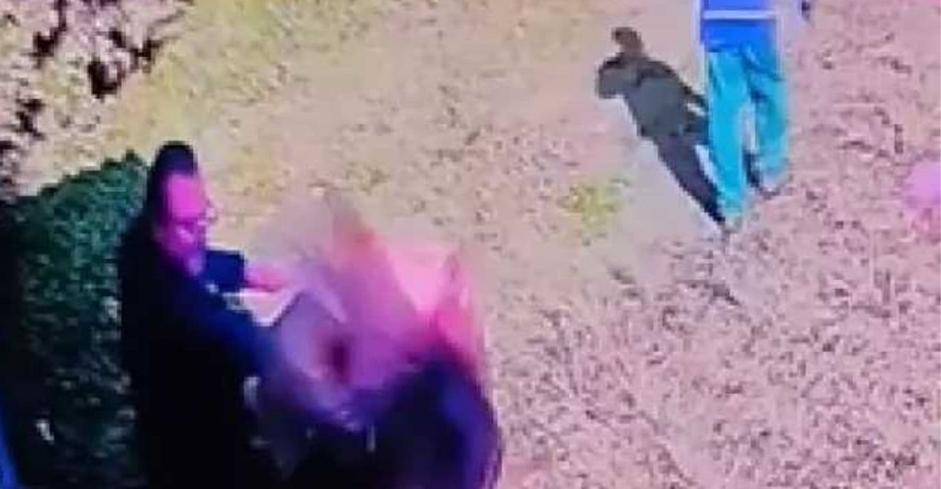 Vídeo mostra momento da agressão do repórter Sassá