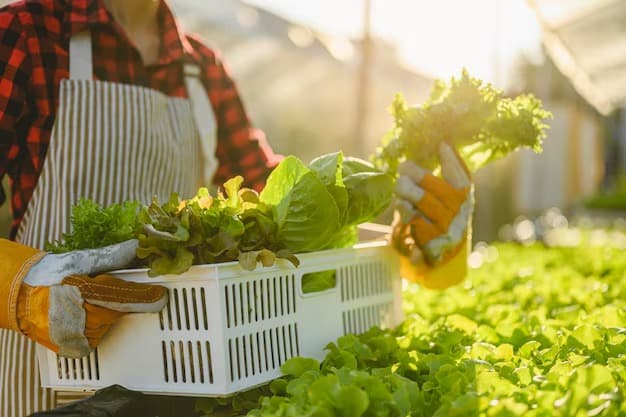 Cada 4 kg de recicláveis dão direito a 1 kg de alimentos, com limite de até 15 kg por família.