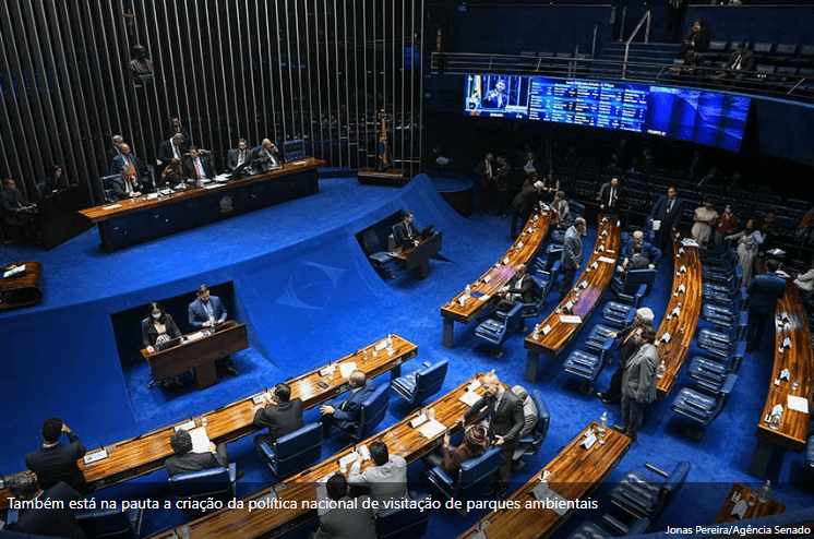 crimes em escolas