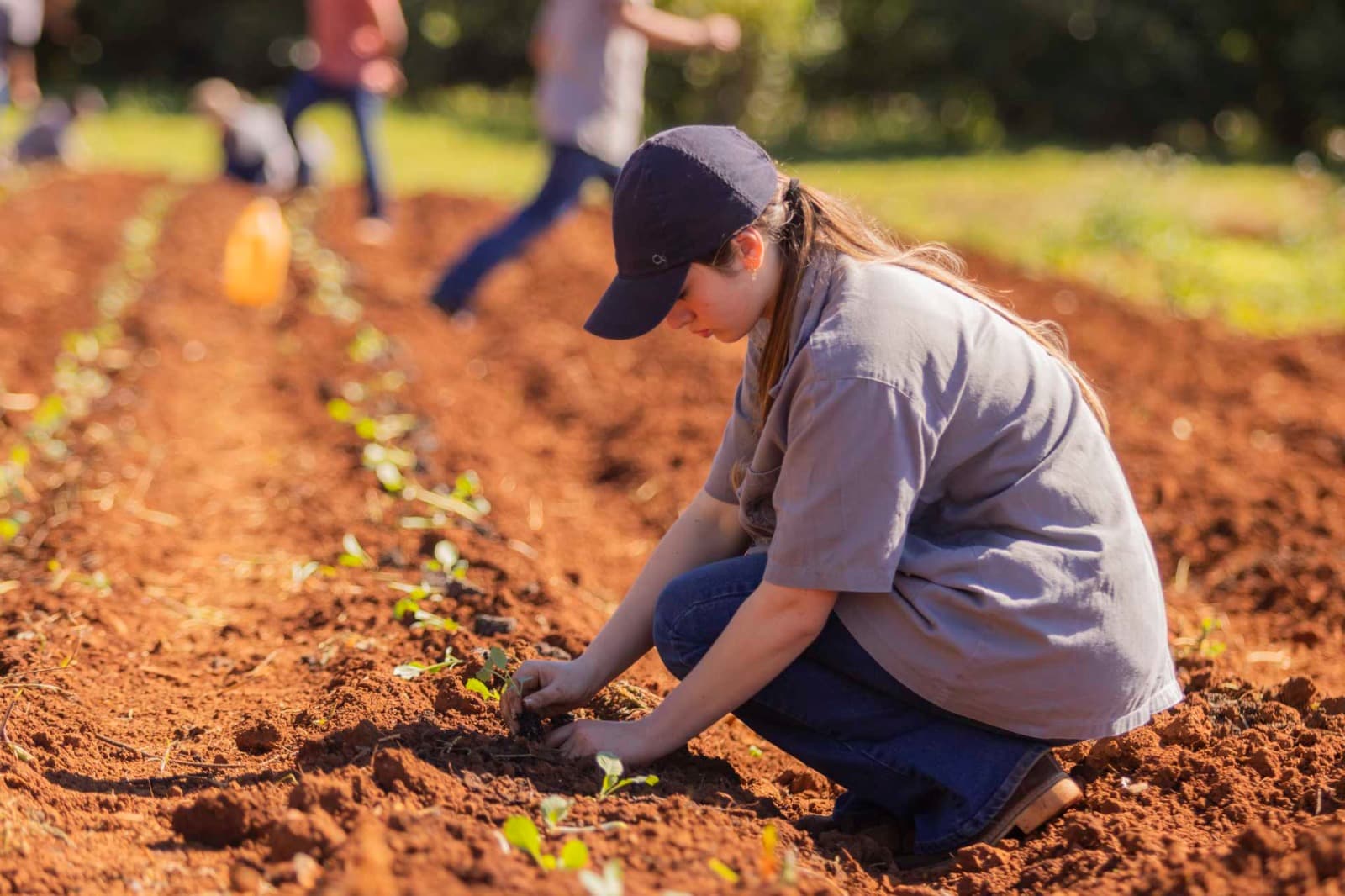 Câmara de Ponta Grossa durante votação de projeto sobre agrotóxicos