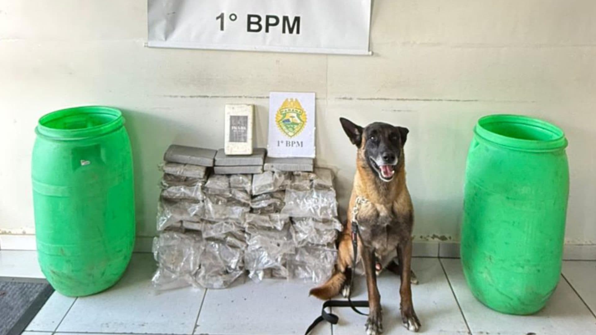 Polícia Militar apreende mais de 45 kg de drogas na Avenida Souza Naves, em Ponta Grossa