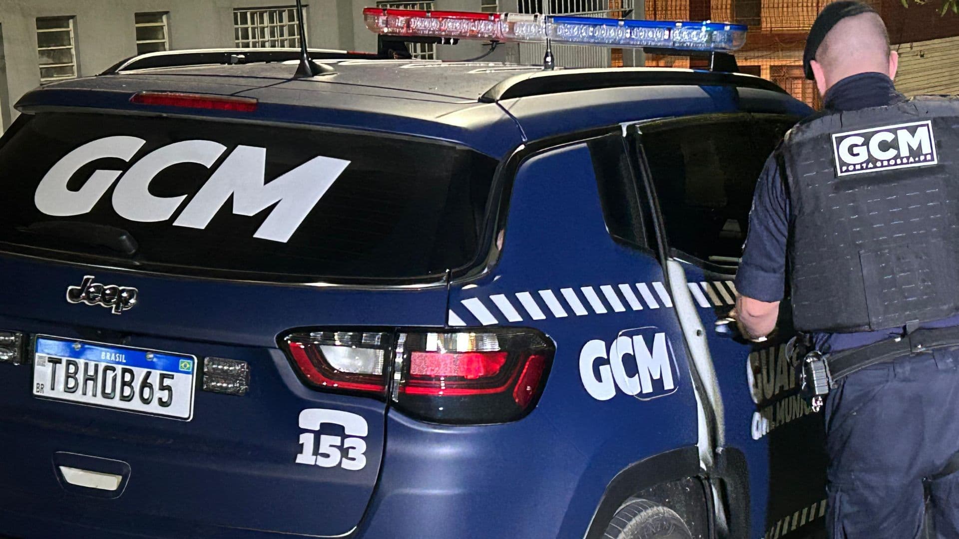 cão furtado pg