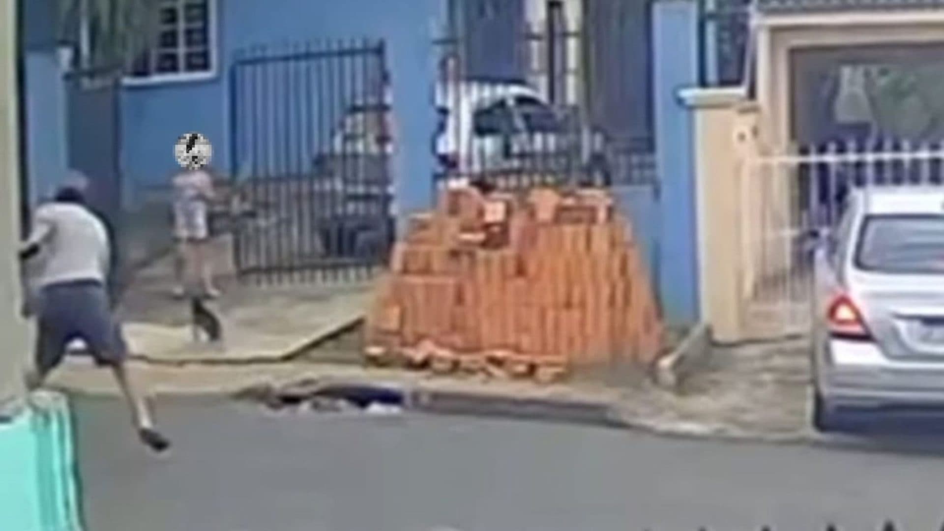 Pinscher é atacada por homem com pedra e fica ferida em Ponta Grossa; veja vídeo