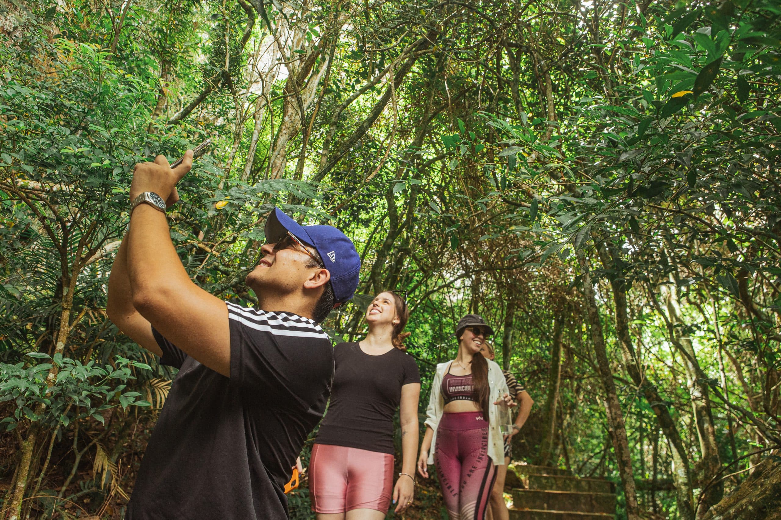 Parque Estadual de Vila Velha estreia observação de pássaros e coloca Ponta Grossa na rota do birdwatching