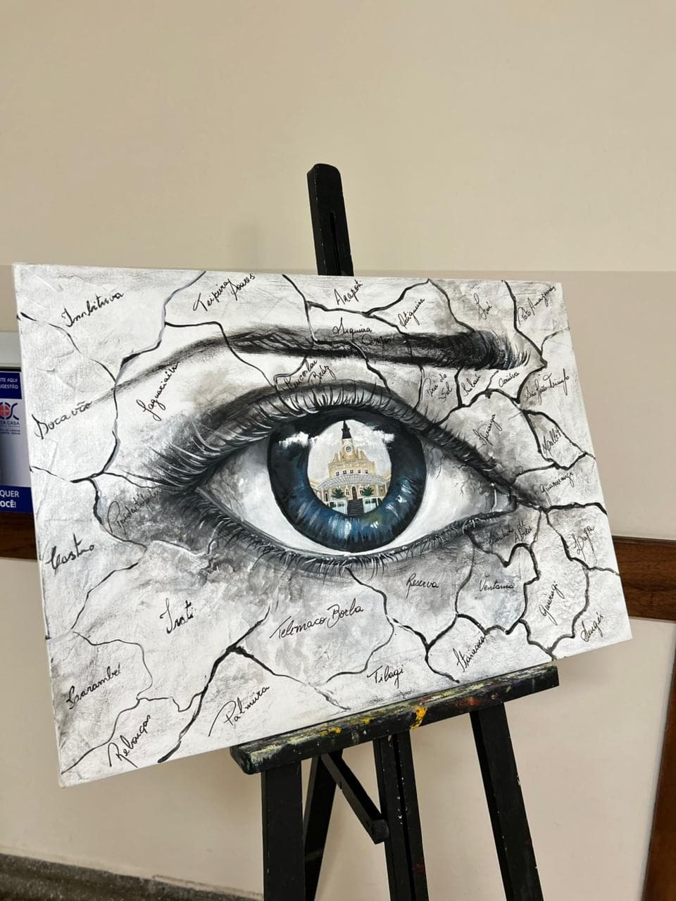Obra Olhar abrangedor Cristina Sá