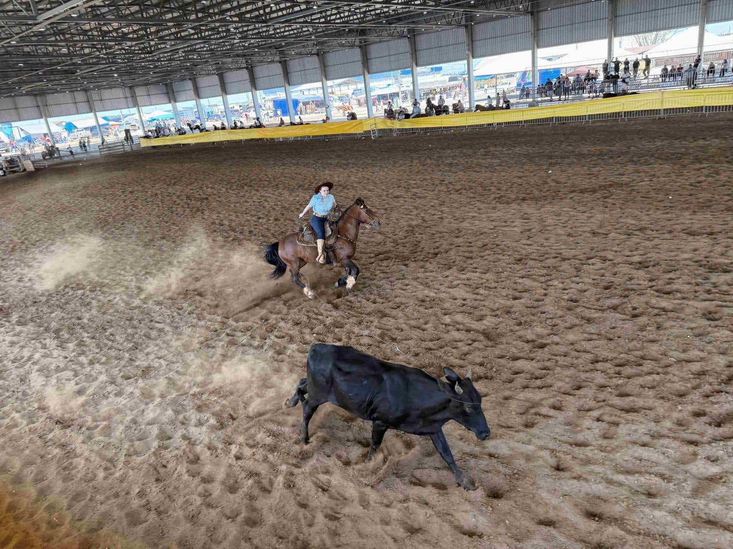 campeirismo rodeio