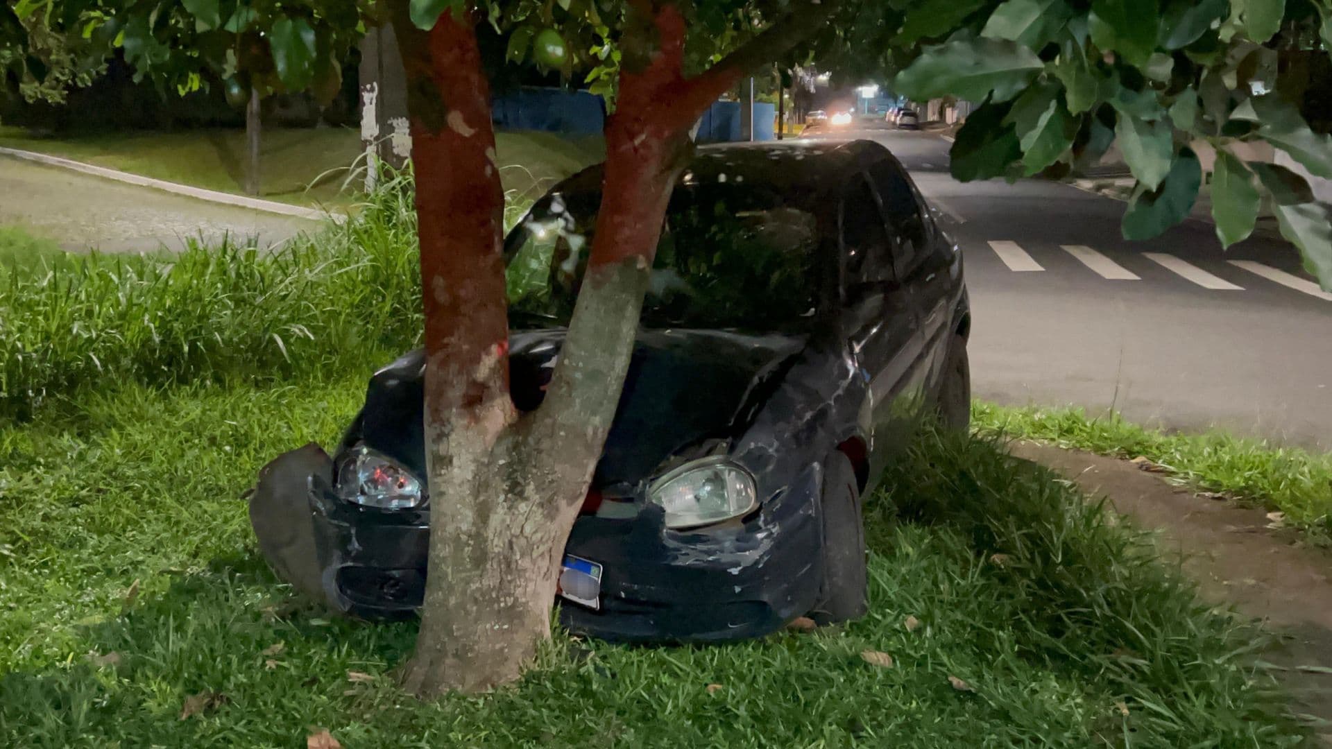 Motorista perde o controle e colide carro em árvore em Ponta Grossa