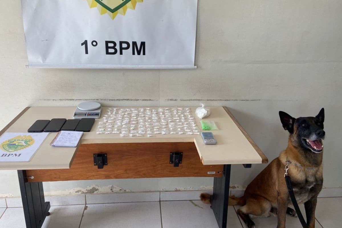 Com apoio do K9, Polícia Militar prende dois por tráfico de drogas em Ponta Grossa