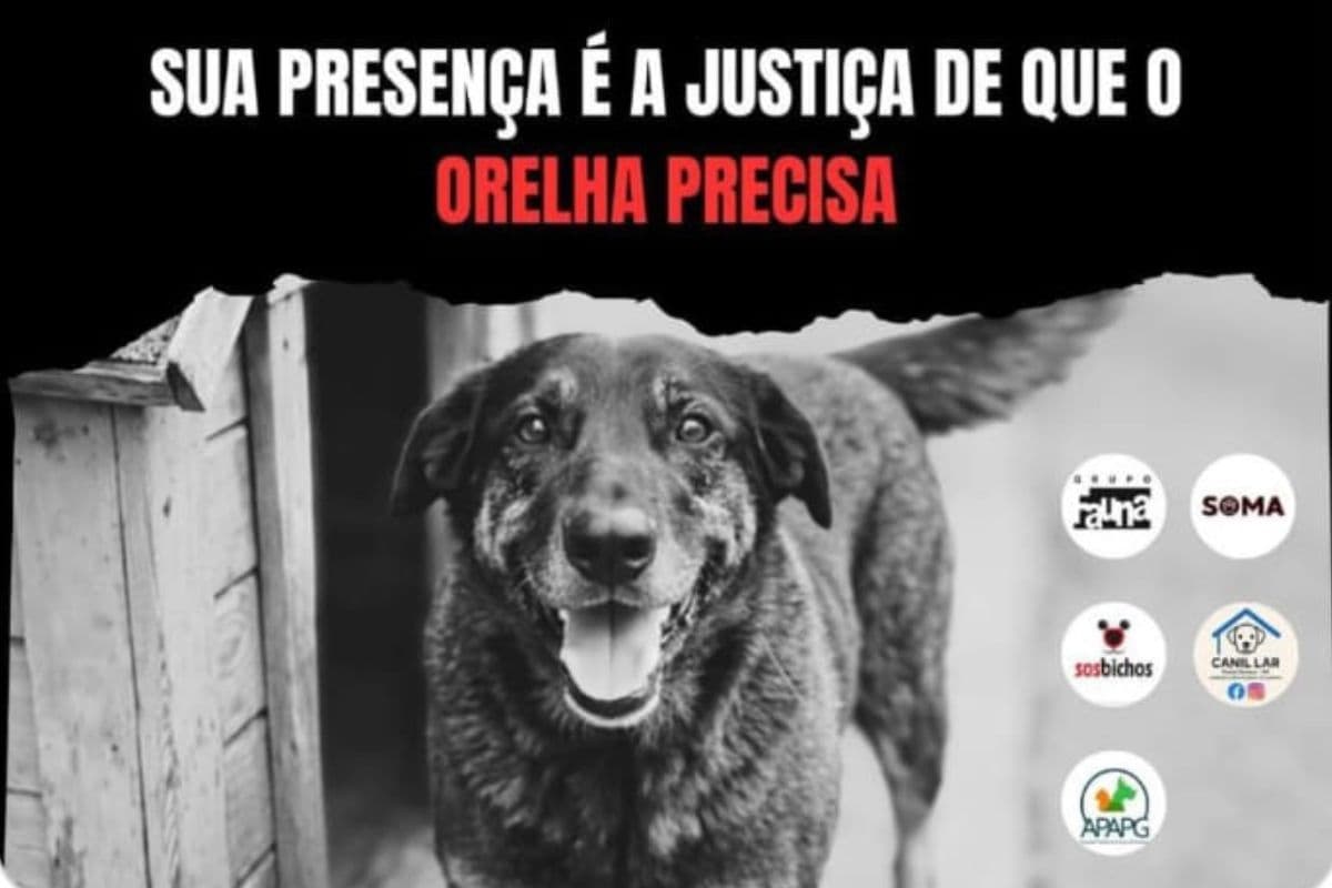 Manifestação Justiça por Orelha reúne moradores neste domingo no Lago de Olarias, em Ponta Grossa