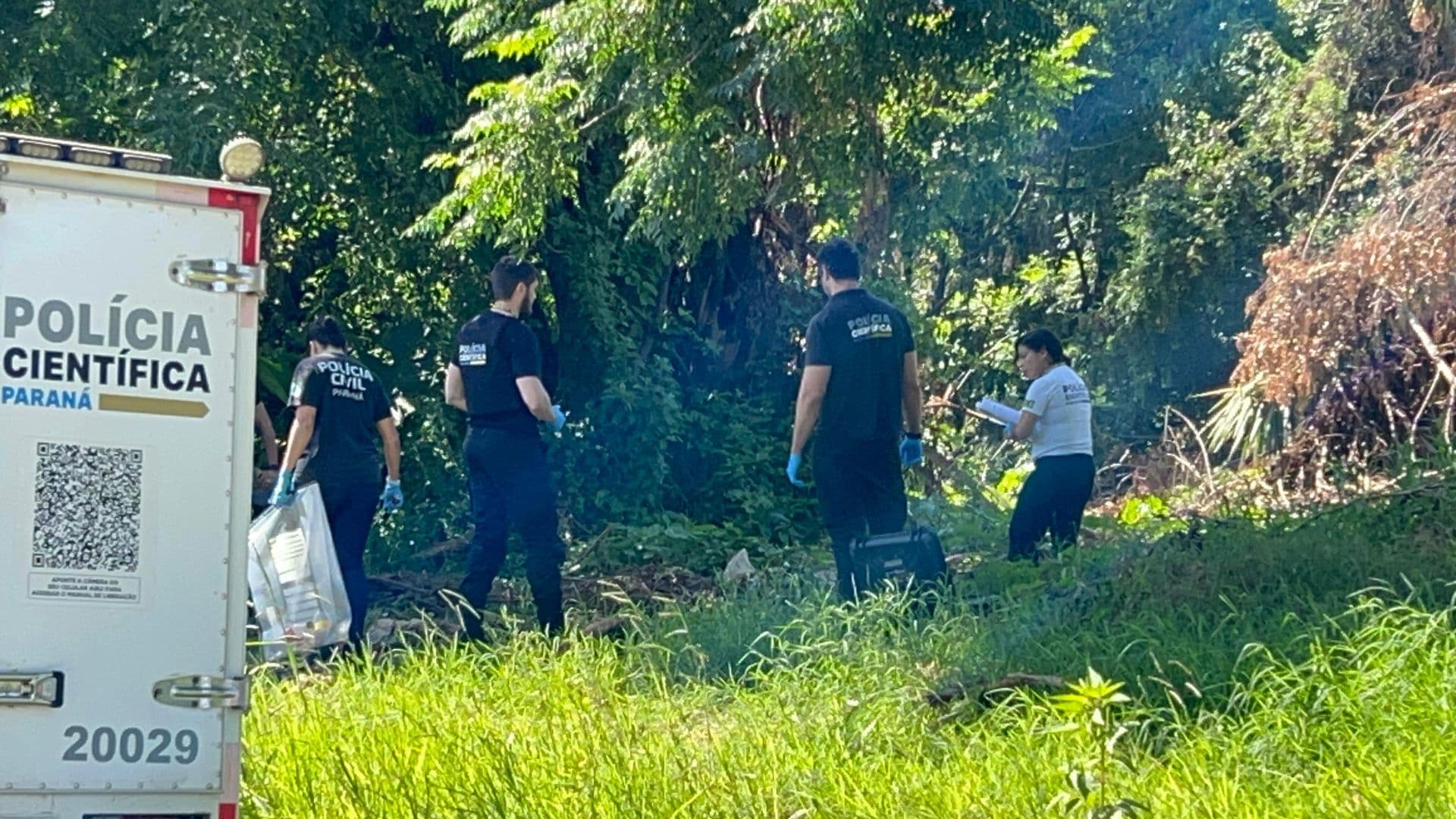 Mulher é encontrada morta no mato em Ponta Grossa