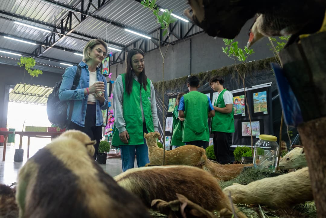 exposição no lago de olarias