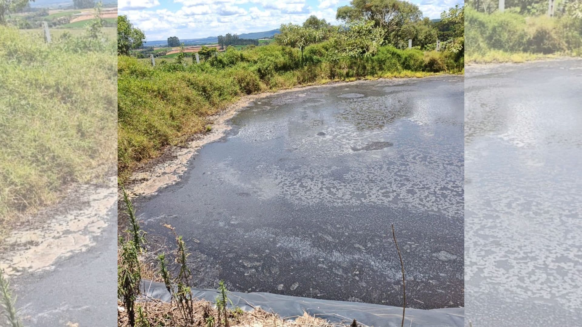 Granja de suinocultura em Castro é multada em R$ 10 mil por poluição ambiental