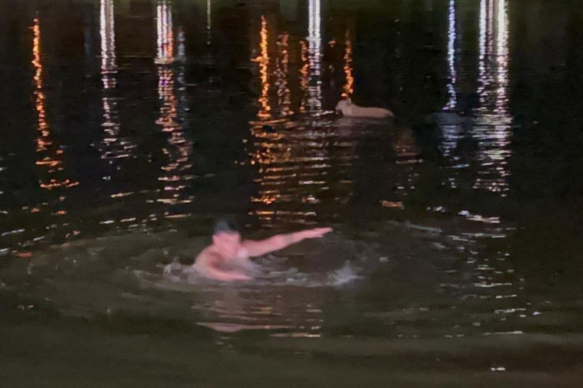 Homem se joga no Lago de Olarias para salvar o cão Caramelo e acaba sendo mordido