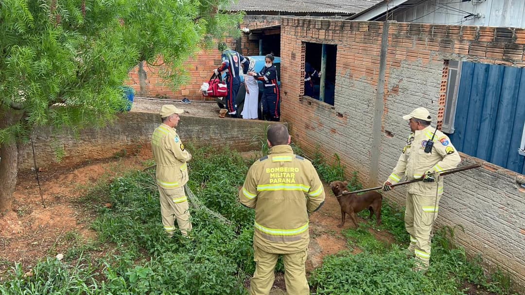 Bombeiros resgatam pitbull