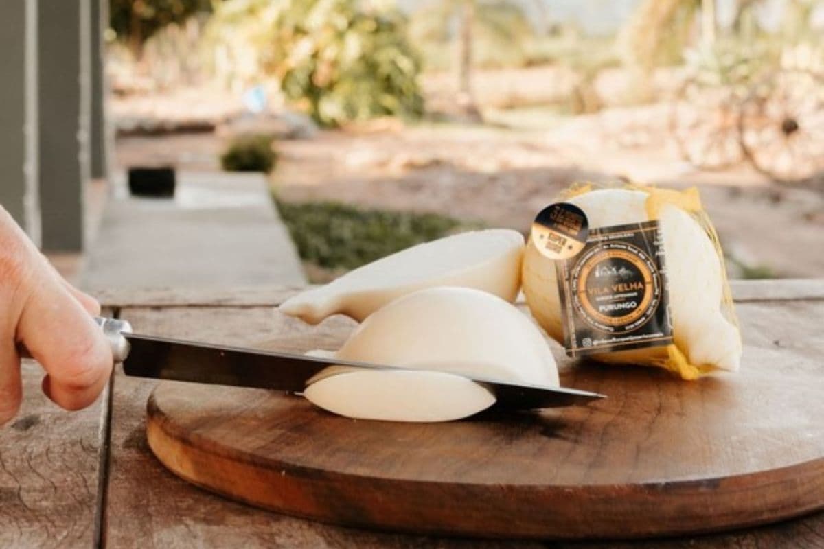 produtos artesanais campso gerais