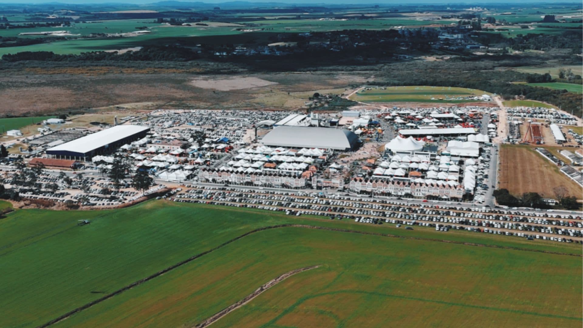 Castrolanda realiza live dia 23 para lançar Agroleite 2026; evento ocorre de 3 a 7 de agosto