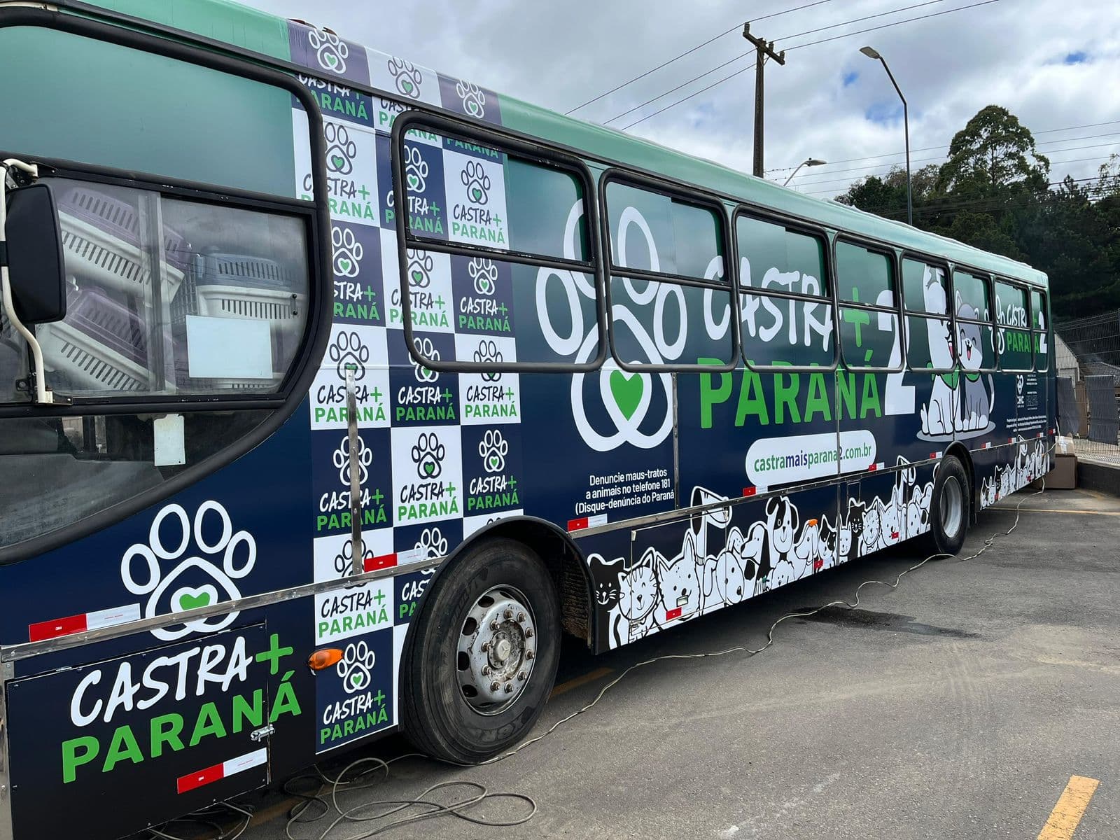 Em Castro, estão abertas as inscrições para castração gratuita de cerca de 600 cães e gatos