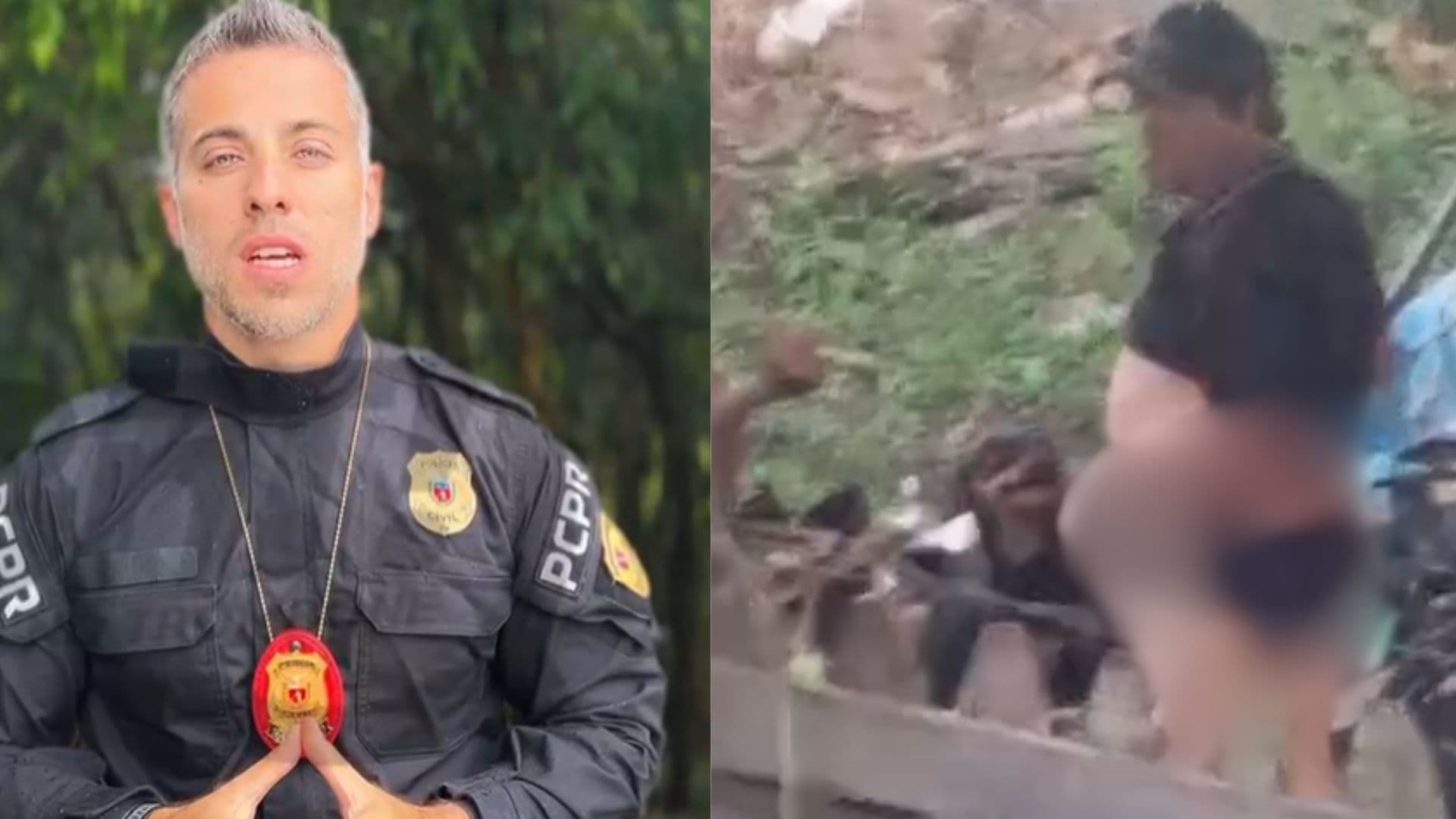 Idoso de 62 anos é preso por zoofilia em Imbituva após imagens flagrarem abusos contra animais