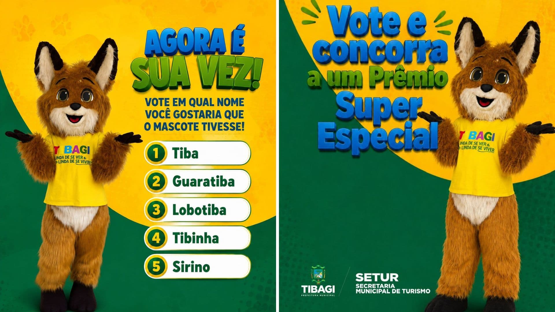Tibagi abre votação para escolha de nome do mascote