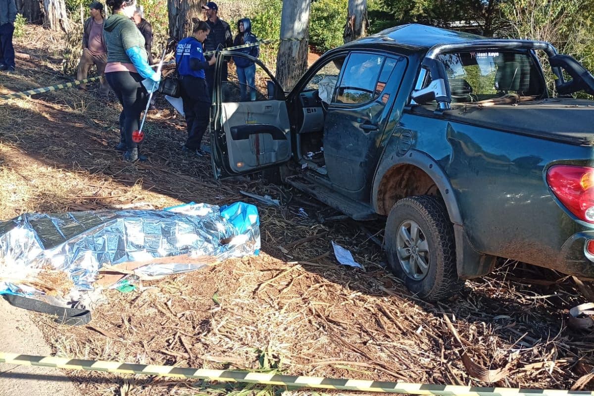 Motorista morre após caminhonete sair da pista e atingir árvore na PR-487 nos Campos Gerais