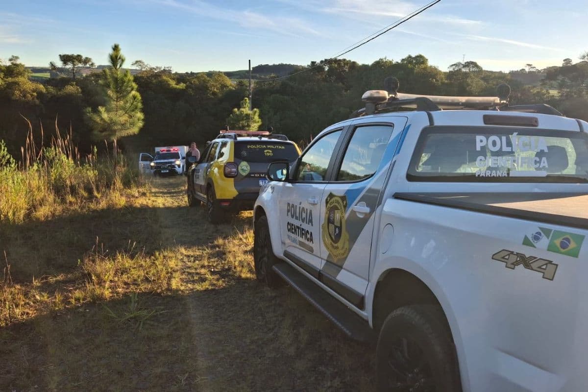 Crânio humano é encontrado em área de mata na Vila Romana, em Ponta Grossa