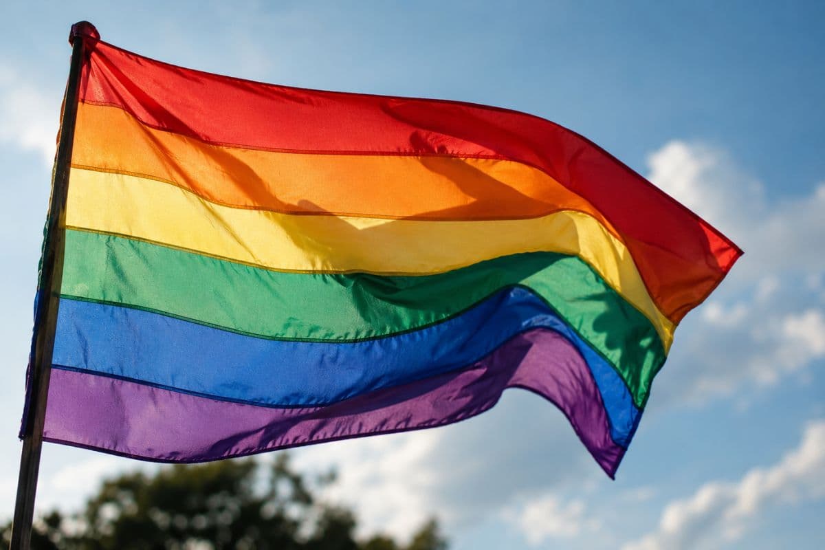 LGBTQIAPN+