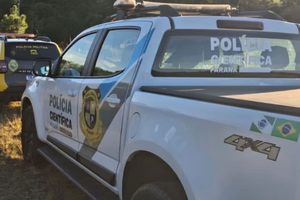 Mulher enterra feto no quintal de casa em PG e mobiliza polícia