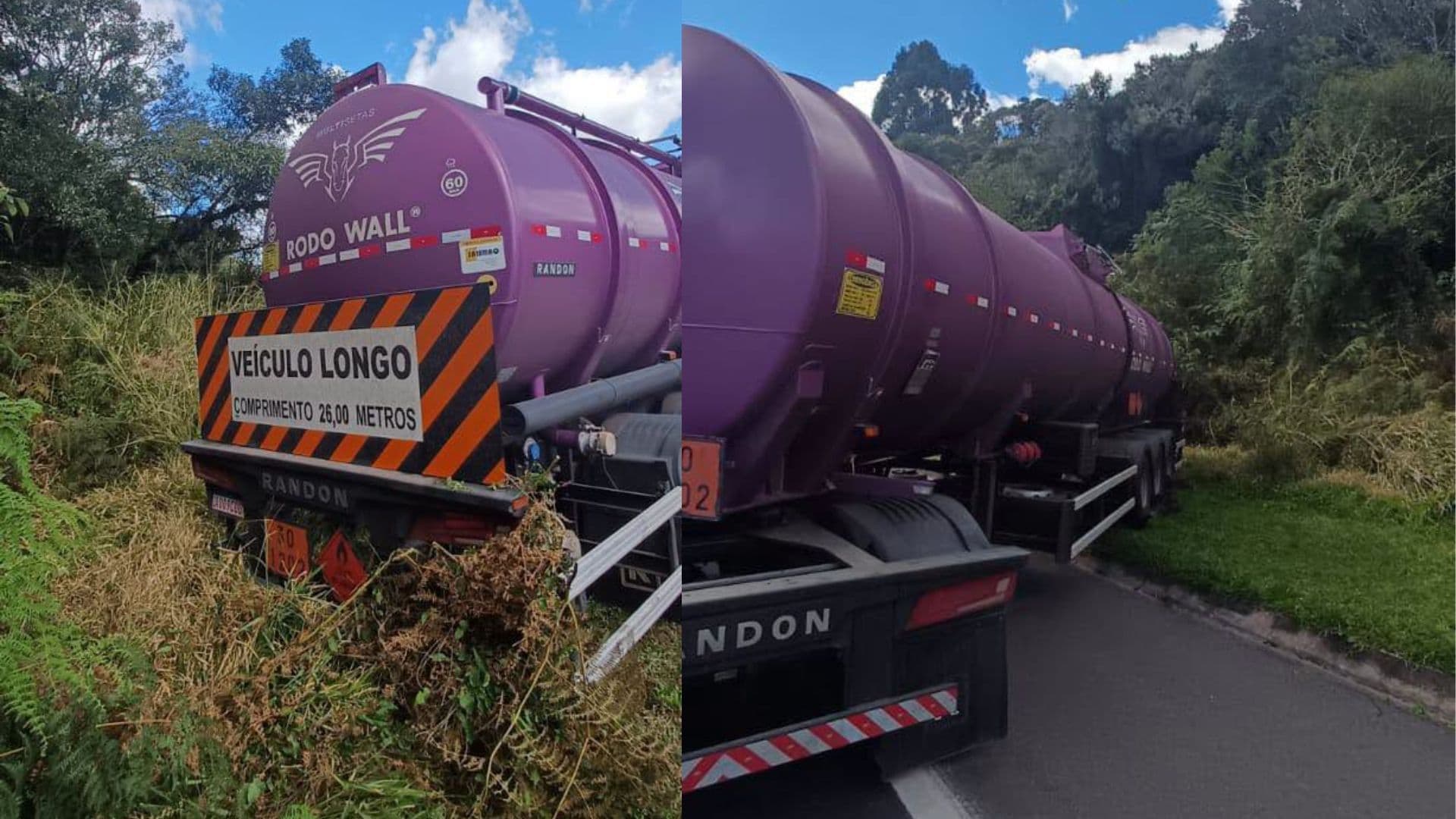 Ataque de abelhas faz motorista passar mal e caminhão voltar de ré na região