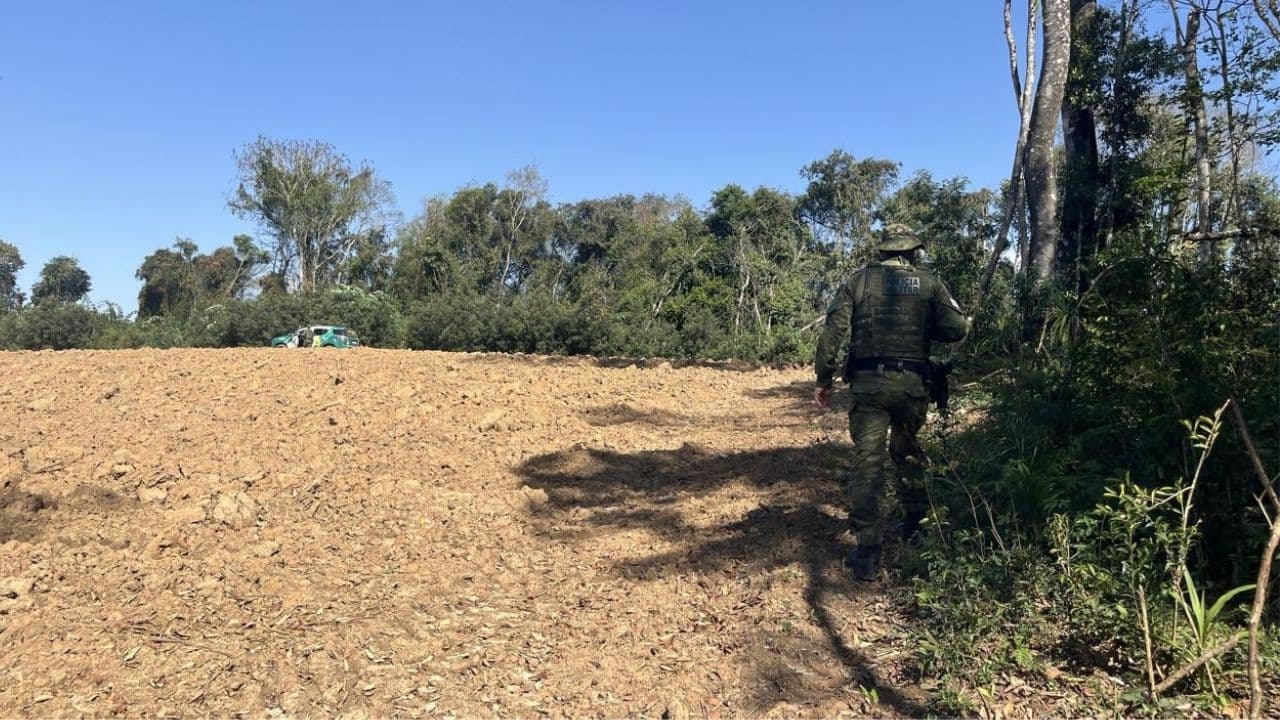 Operação Mata Atlântica em Pé flagra crime ambiental em Ipiranga e outros dois municípios da região