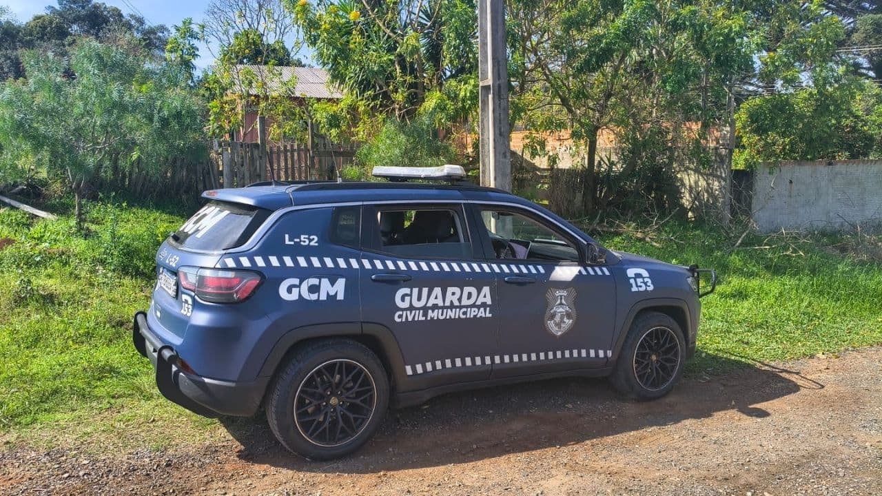 Adolescente afirma ter matado companheiro e mobiliza autoridades em Ponta Grossa