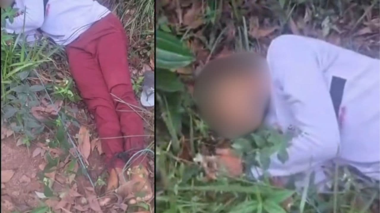 Vídeo de suposto cadáver no Alagados assusta moradores de PG; veja a verdade