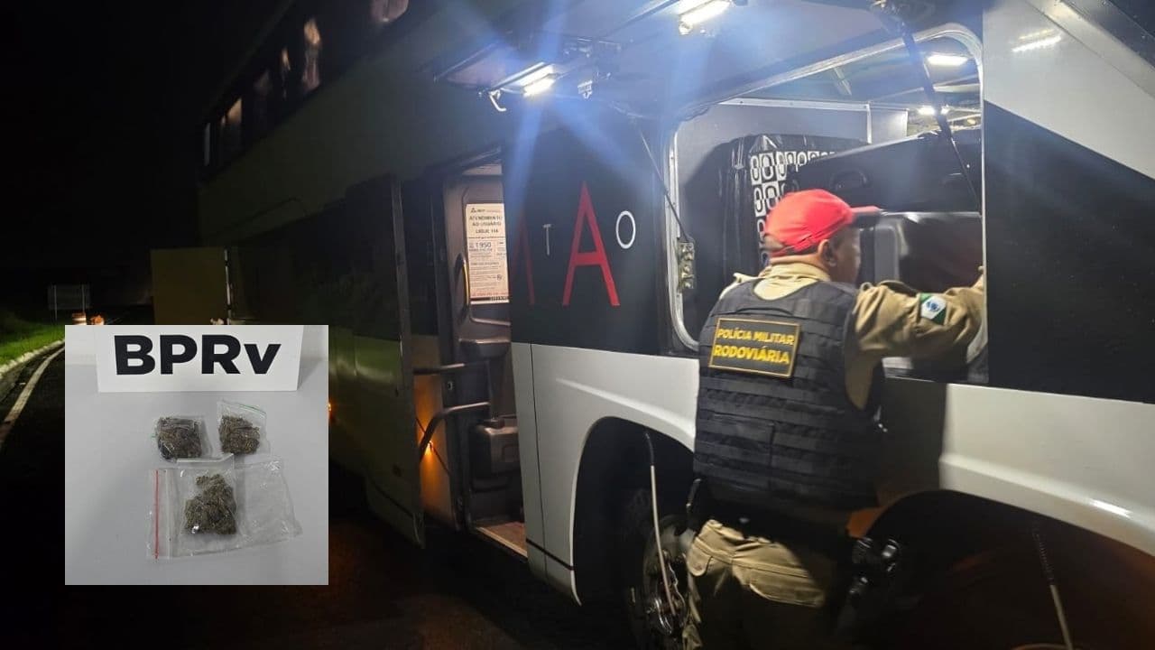 Abordagem apreende skunk em ônibus na PR-151 em Piraí do Sul