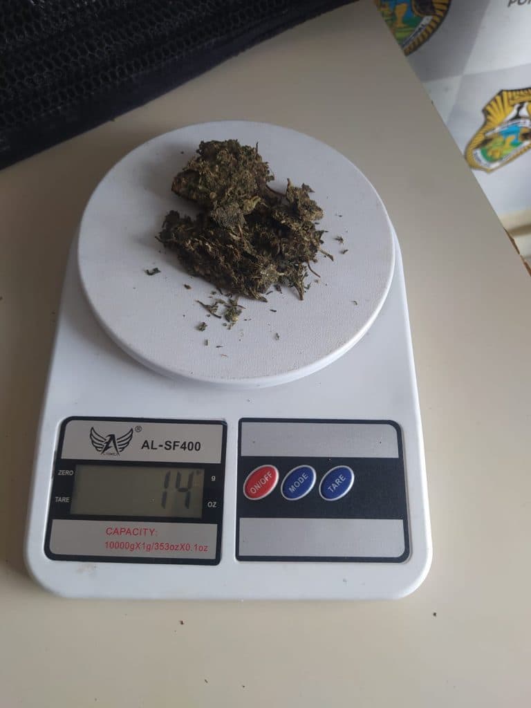 Guarda Municipal apreende drogas e investiga suspeitos por tráfico e corrupção de menores em PG